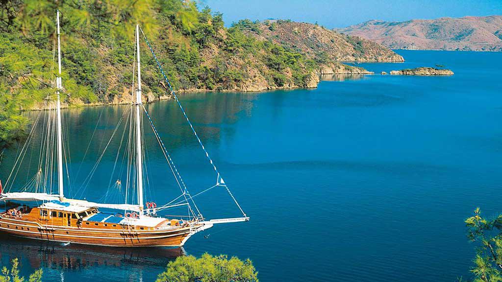 Boat Tours